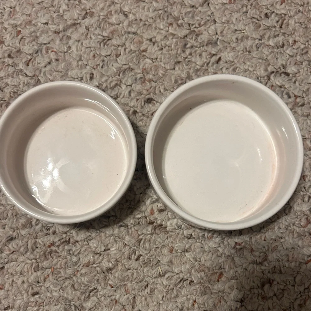 Set of pet bowls